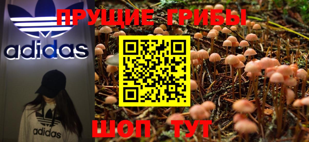 Галлюциногенные грибы MAGIC MUSHROOMS Кемерово