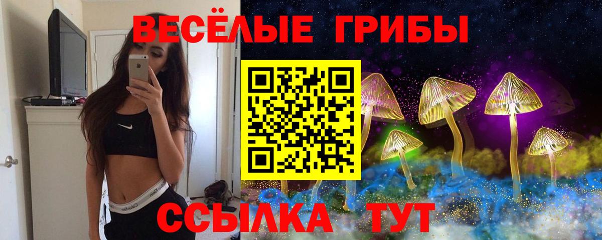 Псилоцибиновые грибы Cubensis  Псилоцибиновые грибы ЛСД  Кемерово 