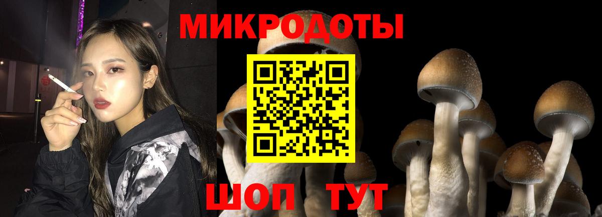 Галлюциногенные грибы GOLDEN TEACHER Кемерово